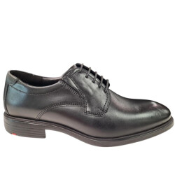 Lloyd 19-360-00 kentucky