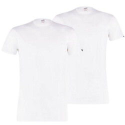 Puma Heren basic t-shirt met ronde hals (set van 2)
