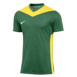 Nike Heren park derby iv dri-fit t-shirt