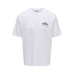 Only & Sons Onsalfresco rlx ss tee