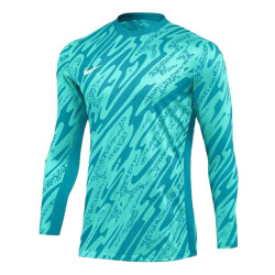 Nike Heren gardien v keepershirt