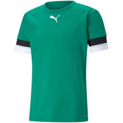 Puma Heren teamrise t-shirt