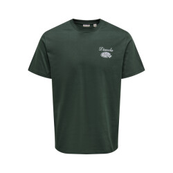 Only & Sons Onsfred osteria rlx ss tee