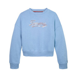 Tommy Hilfiger Sweat kg0kg08686