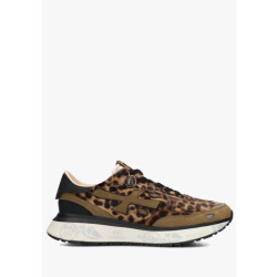 Premiata Women lauryn 7781 brown