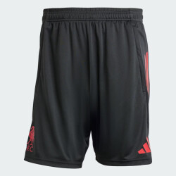 Adidas lfc tr sho replica voetbalbroek heren -