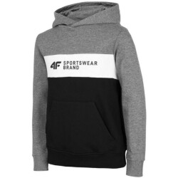 4F Kinderen/kinderen hjz22 jblm003 hoodie