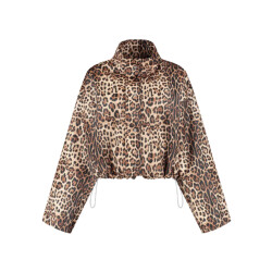 Studio Amaya 253-56 jackets feline