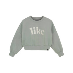 Indian Blue Sweat 970464