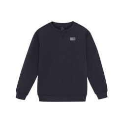 Indian Blue Sweat 960438