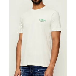 Iceberg Tee small branding off green