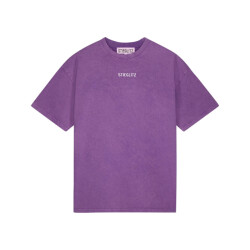 Stieglitz T-shirt w2502004 basic