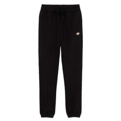 Dickies Broek dk0a4ximblk1