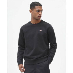 Dickies Sweatshirt dk0a4xceblk1