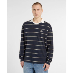 Dickies Polo lange mouw dk0a87q8l181