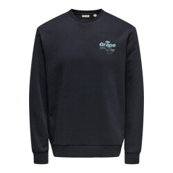 Only & Sons Onsalfresco reg crew neck