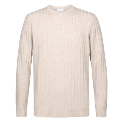 Profuomo Trui ronde hals