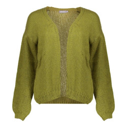 Geisha cardigan basic 54606-70 570 moss