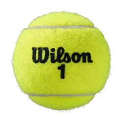 Wilson Roland garros all court tennisballen (set van 4)