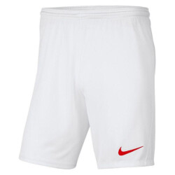 Nike Heren park iii dri-fit korte broek