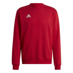 Adidas Heren entrada 22 sweatshirt