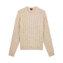 Dickies Sweatshirt dk0a87orl171