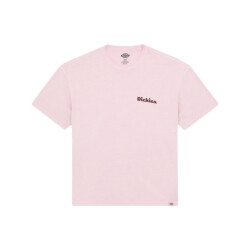Dickies T-shirt korte mouw dk0a87qrk731