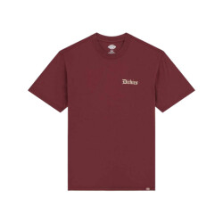 Dickies Pullover dk0a87qxl161