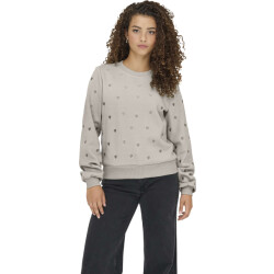 Only Onlatika l/s o-neck glitter emb. box swt pumice st