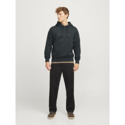 Jack & Jones Jwhfrederiksberg sweat hood