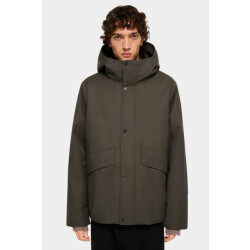 Elvine Winterjack caius 331439/520