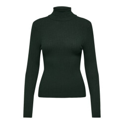 Only Onlkarol ls rollneck pullover knt noos donker