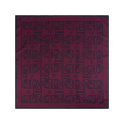 Dante 6 Shawl 253910 monogram