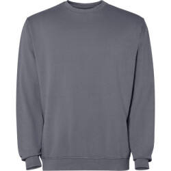 Roly Unisex jaya crew hals sweatshirt voor volwassenen