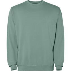 Roly Unisex jaya crew hals sweatshirt voor volwassenen