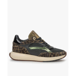 Floris van Bommel Sneakers sfw-10138-51-01