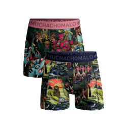 Muchachomalo Jongens 2-pack boxershorts ancient civilizations