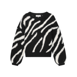 Fabienne Chapot Pullover cltpul20 zebra