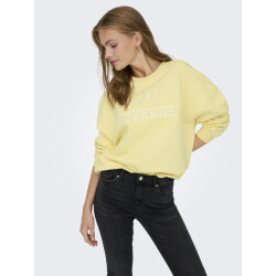 Jacqueline de Yong Jdymesa l/s o-neck emb sweat jrs no