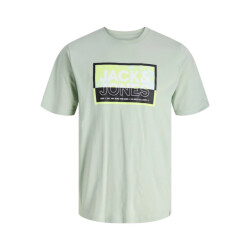 Jack & Jones Jcologan summer print tee