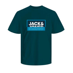 Jack & Jones Jcologan summer print tee
