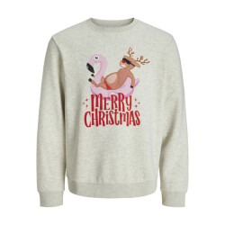 Jack & Jones Heren kersttrui jjchristmas