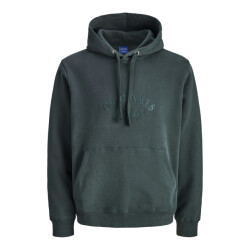 Jack & Jones jorbleecker branding sweat hood bf 12285796 forest river