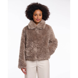 Rino & Pelle Jack sallie.7002514