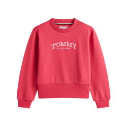 Tommy Hilfiger Sweat kg0kg08989