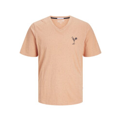 Jack & Jones Jorpalm emb tee ss v-neck