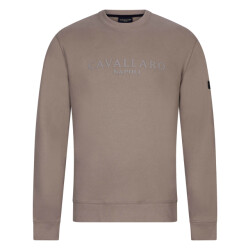 Cavallaro Cavallaro enego sweatshirt