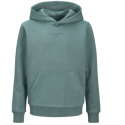 Jack & Jones Jjkenji sweat hood