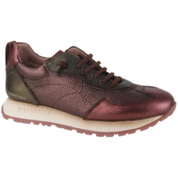 Hispanitas Chi254312