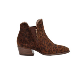 Hispanitas Phi254383